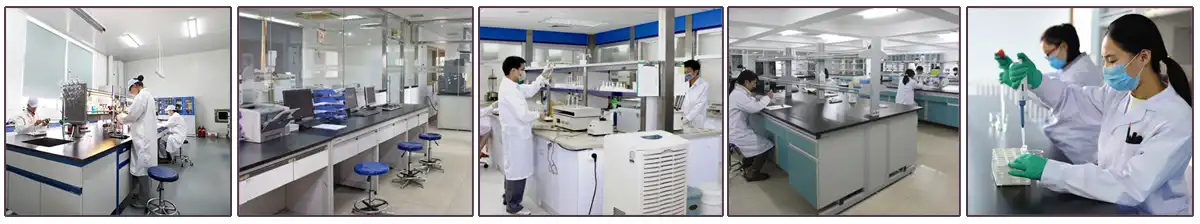 lab 13.jpg